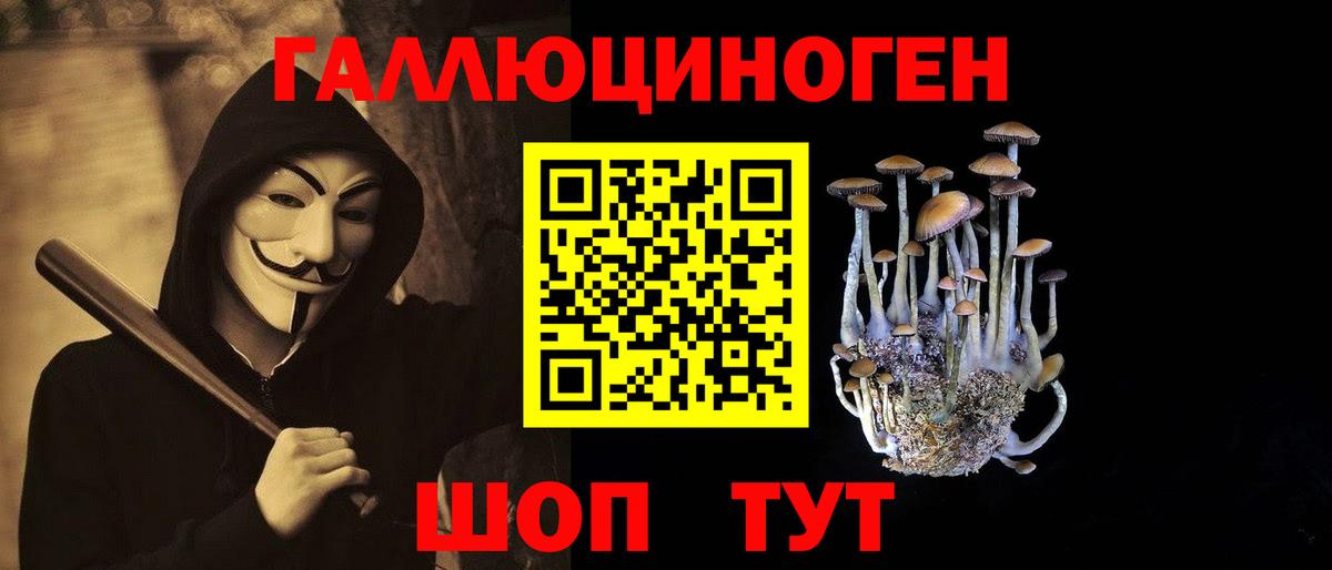 Стрежевой  даркнет сайт  Вход с VPN  Галлюциногенные грибы Psilocybine cubensis 
